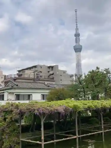 亀戸天神社(東京都)