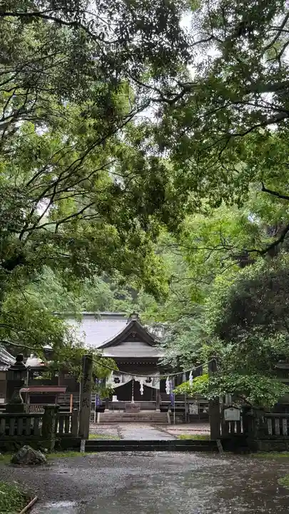 秦神社(高知県)