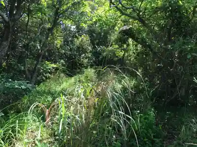 金毘羅宮跡の周辺