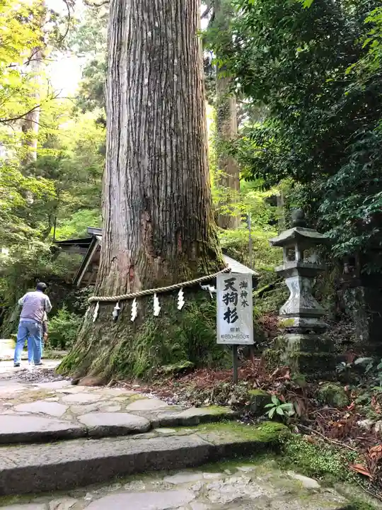 英彦山豊前坊高住神社の自然