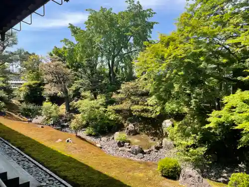 相国寺（相国承天禅寺）の庭園