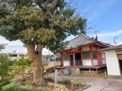 家原寺(大阪府)