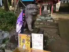 小幡八幡宮の狛犬