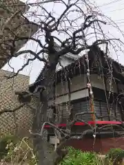 法輪寺の庭園