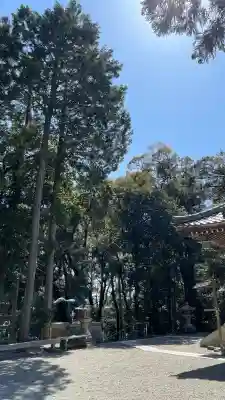 天之御中主尊神社の{uncategorized: "未分類", other: "その他", undefined: "問題あり", building: "その他建物", grave: "お墓", sacred_gate: "鳥居", guardian: "狛犬", statue: "像", buddha: "仏像", history: "歴史", nature: "自然", garden: "庭園", animal: "動物", pagoda: "塔", temizu: "手水舎", mountain_gate: "山門・神門", sanctuary: "本殿・本堂", subordinate: "末社・摂社", art: "芸術", scenery: "景色", jizo: "地蔵", ema: "絵馬", goshuin: "御朱印", omikuji: "おみくじ", items: "授与品その他", amulet: "お守り", goshuincho: "御朱印帳", eats: "食事", festival: "お祭り", votive_dance: "神楽", shichigosan: "七五三参", wedding: "結婚式", experience: "体験その他", initially: "初詣", around: "周辺", anti_infection: "感染症対策"}