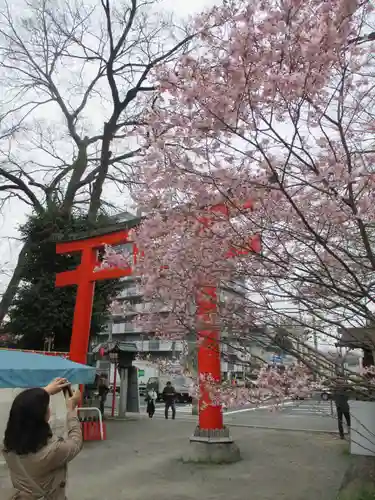 平野神社の鳥居