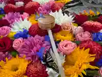 柳谷観音 楊谷寺(京都府)