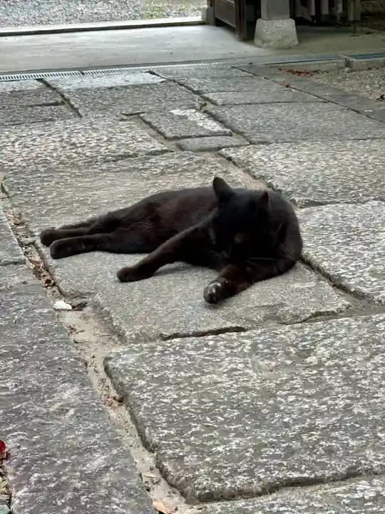 西梅津神明社(京都府)