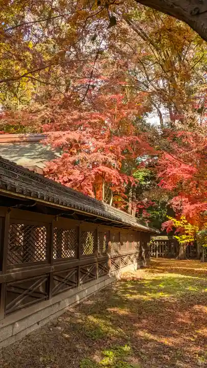 梨木神社(京都府)