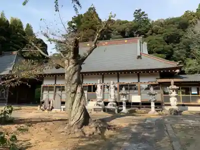 新福寺(千葉県)
