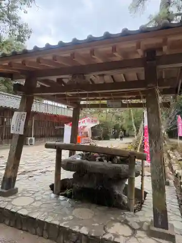 櫻井神社の{uncategorized: "未分類", other: "その他", undefined: "問題あり", building: "その他建物", grave: "お墓", sacred_gate: "鳥居", guardian: "狛犬", statue: "像", buddha: "仏像", history: "歴史", nature: "自然", garden: "庭園", animal: "動物", pagoda: "塔", temizu: "手水舎", mountain_gate: "山門・神門", sanctuary: "本殿・本堂", subordinate: "末社・摂社", art: "芸術", scenery: "景色", jizo: "地蔵", ema: "絵馬", goshuin: "御朱印", omikuji: "おみくじ", items: "授与品その他", amulet: "お守り", goshuincho: "御朱印帳", eats: "食事", festival: "お祭り", votive_dance: "神楽", shichigosan: "七五三参", wedding: "結婚式", experience: "体験その他", initially: "初詣", around: "周辺", anti_infection: "感染症対策"}
