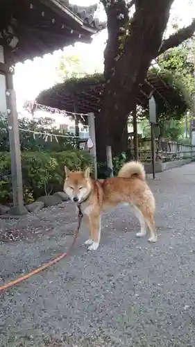 感通寺(東京都)