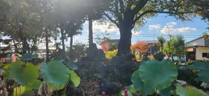 吉祥院(山形県)