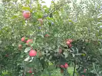 八幡宮(青森県)