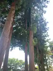 大宮五十鈴神社(長野県)