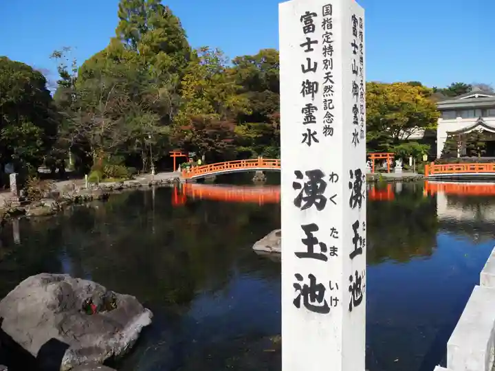 富士山本宮浅間大社の自然