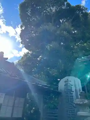 大甕神社(茨城県)