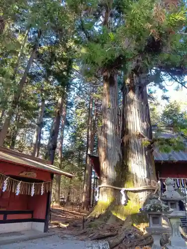 北口本宮冨士浅間神社(山梨県)