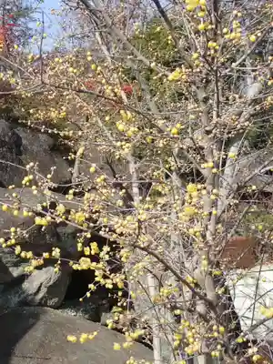 横浜　西方寺(神奈川県)