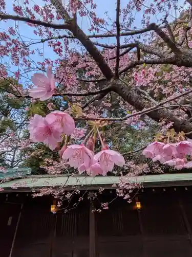 代々木八幡宮(東京都)