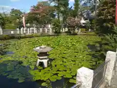 圓照寺の庭園