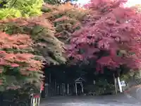 水澤寺(水澤観世音)の自然