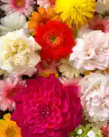 札幌諏訪神社の手水舎