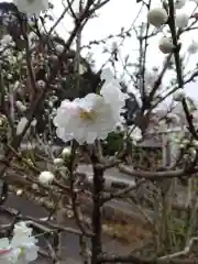 妙音寺(神奈川県)