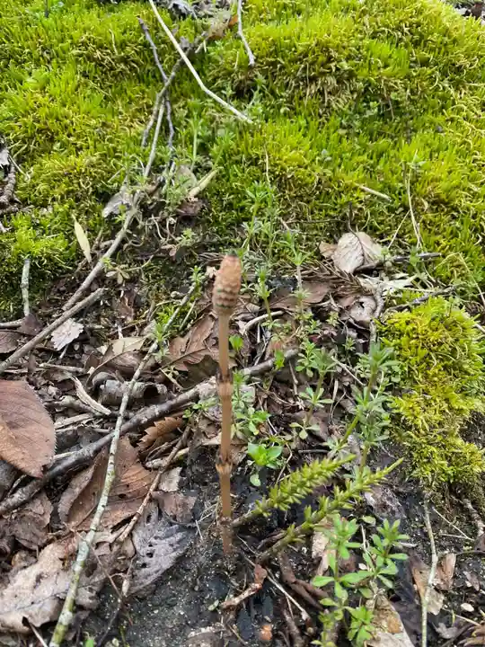 蓮蔵寺(福島県)