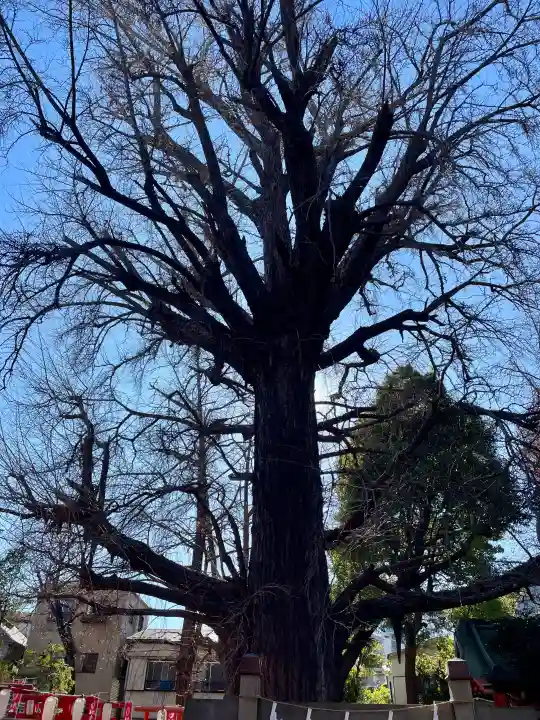 武芳稲荷神社の{uncategorized: "未分類", other: "その他", undefined: "問題あり", building: "その他建物", grave: "お墓", sacred_gate: "鳥居", guardian: "狛犬", statue: "像", buddha: "仏像", history: "歴史", nature: "自然", garden: "庭園", animal: "動物", pagoda: "塔", temizu: "手水舎", mountain_gate: "山門・神門", sanctuary: "本殿・本堂", subordinate: "末社・摂社", art: "芸術", scenery: "景色", jizo: "地蔵", ema: "絵馬", goshuin: "御朱印", omikuji: "おみくじ", items: "授与品その他", amulet: "お守り", goshuincho: "御朱印帳", eats: "食事", festival: "お祭り", votive_dance: "神楽", shichigosan: "七五三参", wedding: "結婚式", experience: "体験その他", initially: "初詣", around: "周辺", anti_infection: "感染症対策"}