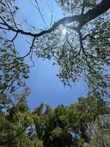 須走護國神社(静岡県)