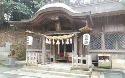 一宮神社の本殿・本堂