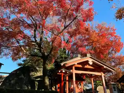 車折神社の{uncategorized: "未分類", other: "その他", undefined: "問題あり", building: "その他建物", grave: "お墓", sacred_gate: "鳥居", guardian: "狛犬", statue: "像", buddha: "仏像", history: "歴史", nature: "自然", garden: "庭園", animal: "動物", pagoda: "塔", temizu: "手水舎", mountain_gate: "山門・神門", sanctuary: "本殿・本堂", subordinate: "末社・摂社", art: "芸術", scenery: "景色", jizo: "地蔵", ema: "絵馬", goshuin: "御朱印", omikuji: "おみくじ", items: "授与品その他", amulet: "お守り", goshuincho: "御朱印帳", eats: "食事", festival: "お祭り", votive_dance: "神楽", shichigosan: "七五三参", wedding: "結婚式", experience: "体験その他", initially: "初詣", around: "周辺", anti_infection: "感染症対策"}