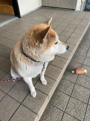 笠䅣稲荷神社(神奈川県)