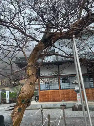 明鏡山龍雲寺(栃木県)