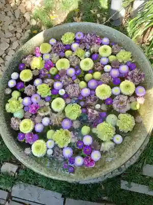 行田八幡神社の手水舎