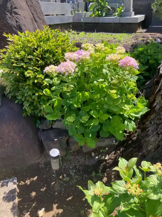 誓欣院(静岡県)