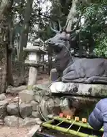 春日大社の手水舎