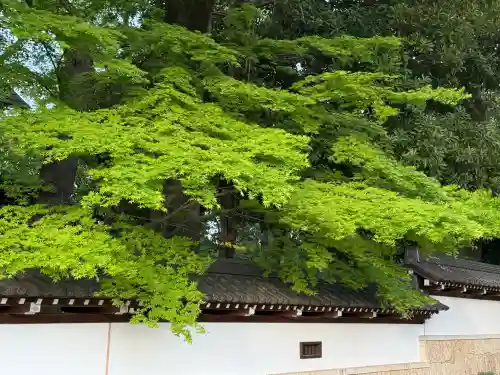 越ヶ谷久伊豆神社の{uncategorized: "未分類", other: "その他", undefined: "問題あり", building: "その他建物", grave: "お墓", sacred_gate: "鳥居", guardian: "狛犬", statue: "像", buddha: "仏像", history: "歴史", nature: "自然", garden: "庭園", animal: "動物", pagoda: "塔", temizu: "手水舎", mountain_gate: "山門・神門", sanctuary: "本殿・本堂", subordinate: "末社・摂社", art: "芸術", scenery: "景色", jizo: "地蔵", ema: "絵馬", goshuin: "御朱印", omikuji: "おみくじ", items: "授与品その他", amulet: "お守り", goshuincho: "御朱印帳", eats: "食事", festival: "お祭り", votive_dance: "神楽", shichigosan: "七五三参", wedding: "結婚式", experience: "体験その他", initially: "初詣", around: "周辺", anti_infection: "感染症対策"}