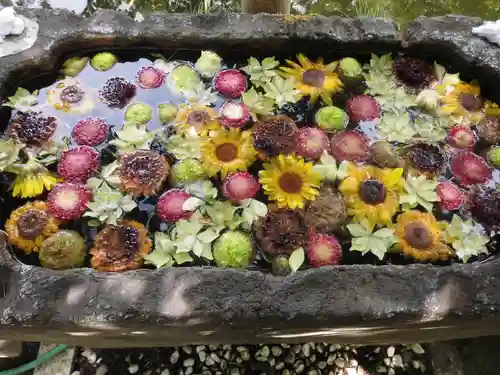 富岡八幡宮の手水舎