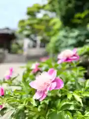 照光寺(長野県)