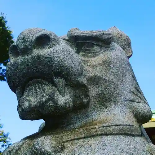 神田神社（神田明神）の狛犬