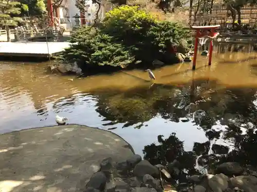 平塚八幡宮の庭園