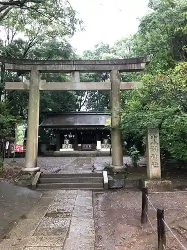 常磐神社の鳥居