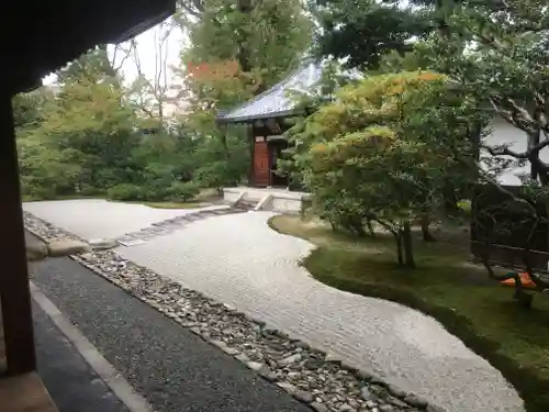 建仁寺（建仁禅寺）の庭園