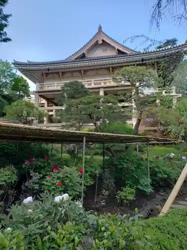 東長谷寺　薬王院の庭園