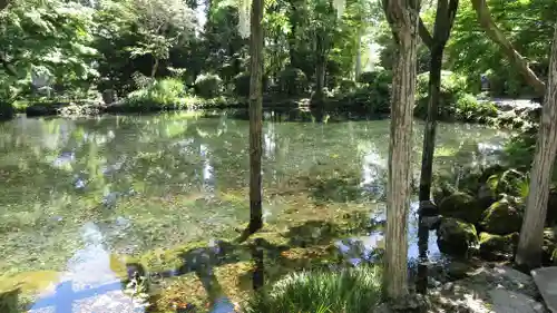 富士山本宮浅間大社の庭園