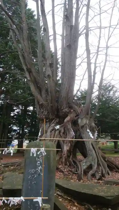 美幌神社のその他建物