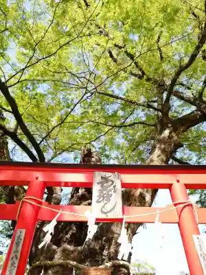 秩父今宮神社の{uncategorized: "未分類", other: "その他", undefined: "問題あり", building: "その他建物", grave: "お墓", sacred_gate: "鳥居", guardian: "狛犬", statue: "像", buddha: "仏像", history: "歴史", nature: "自然", garden: "庭園", animal: "動物", pagoda: "塔", temizu: "手水舎", mountain_gate: "山門・神門", sanctuary: "本殿・本堂", subordinate: "末社・摂社", art: "芸術", scenery: "景色", jizo: "地蔵", ema: "絵馬", goshuin: "御朱印", omikuji: "おみくじ", items: "授与品その他", amulet: "お守り", goshuincho: "御朱印帳", eats: "食事", festival: "お祭り", votive_dance: "神楽", shichigosan: "七五三参", wedding: "結婚式", experience: "体験その他", initially: "初詣", around: "周辺", anti_infection: "感染症対策"}