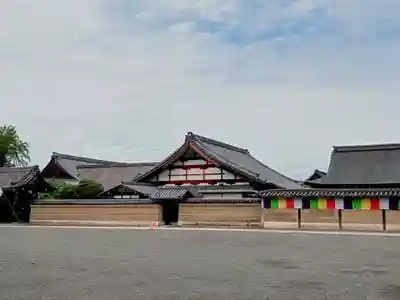 東寺（教王護国寺）(京都府)